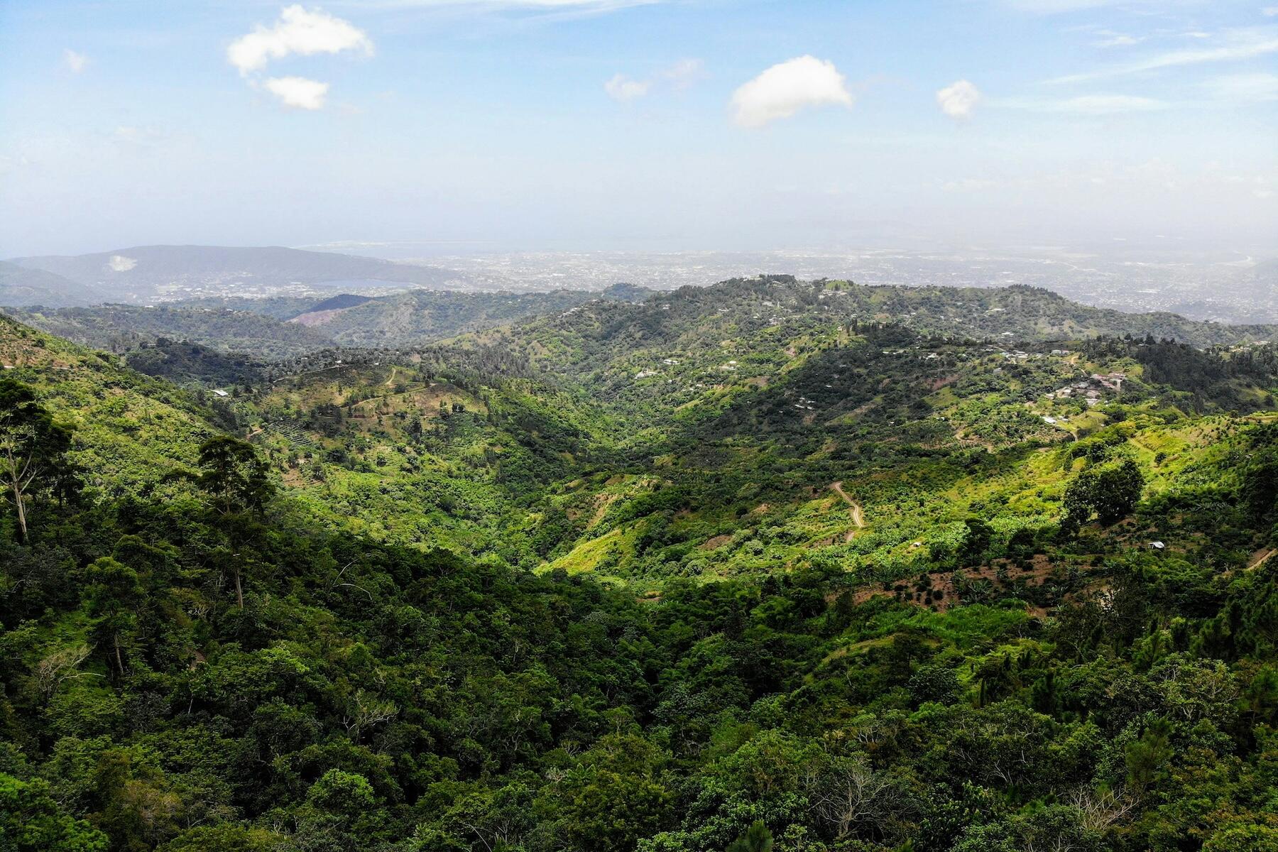 La Jamaïque offre bien plus que ce que la plupart des voyageurs savent