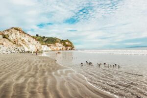 Les 10 plages les plus sous-estimées de Californie