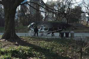 Les autorités de New York veulent interdire les attractions touristiques populaires