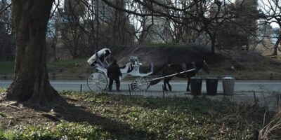 Les autorités de New York veulent interdire les attractions touristiques populaires