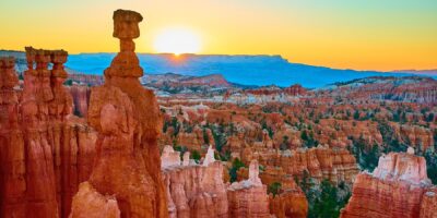 Les panneaux du vif d&rsquo;or du parc national de Trump se sont retournés contre eux de façon spectaculaire