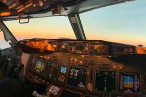 Un passager aurait tenté de s'introduire dans le cockpit. Puis un ancien combattant de MMA est intervenu