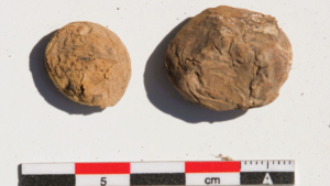 Des collations de pommes de terre lyophilisées vieilles de 500 ans découvertes dans un entrepôt inca au Pérou
