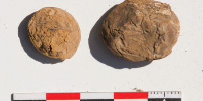 Des collations de pommes de terre lyophilisées vieilles de 500 ans découvertes dans un entrepôt inca au Pérou