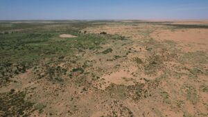 66 milliards d'arbres ont été plantés sur la Grande Muraille Verte de Chine – et ils semblent pousser plus vite que les forêts naturelles
