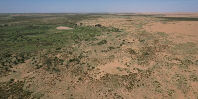 66 milliards d&rsquo;arbres ont été plantés sur la Grande Muraille Verte de Chine – et ils semblent pousser plus vite que les forêts naturelles