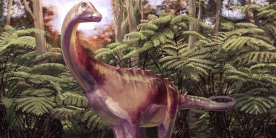 Le premier fossile de dinosaure de l&rsquo;Antarctique appartenait à un groupe des plus grands animaux terrestres jamais vus