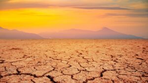 Une étude suggère qu'il reste environ 1,8 milliard d'années à la vie sur Terre, mais la biosphère pourrait évoluer pour survivre encore plus longtemps