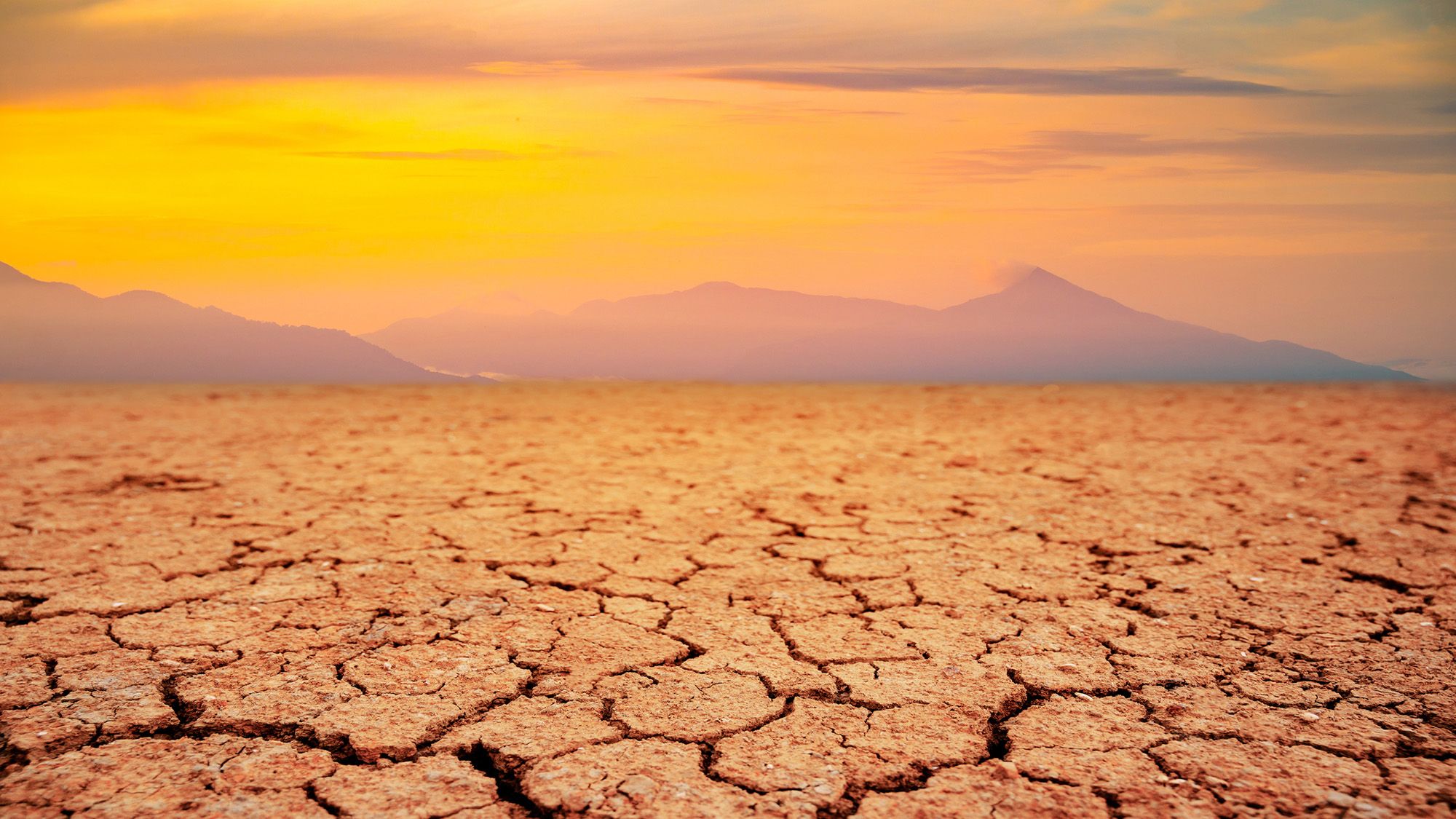 Une étude suggère qu'il reste environ 1,8 milliard d'années à la vie sur Terre, mais la biosphère pourrait évoluer pour survivre encore plus longtemps