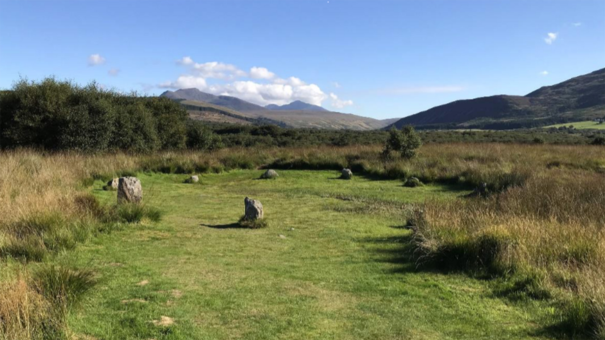 Une vue de plusieurs cercles de pierres sur une lande