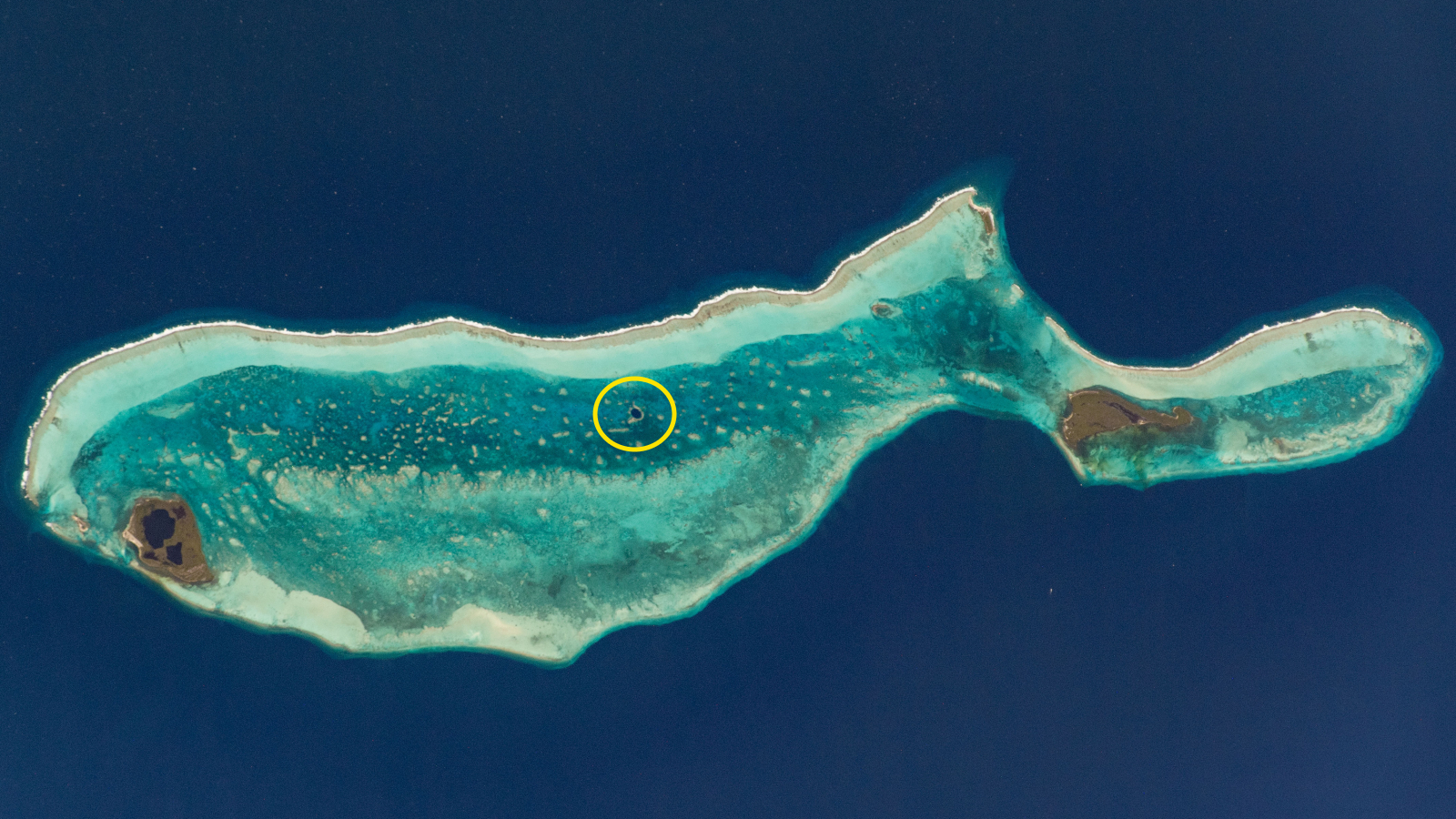 Une photo satellite d'une île en forme de baleine avec un cercle jaune soulignant l'emplacement du Grand Trou Bleu