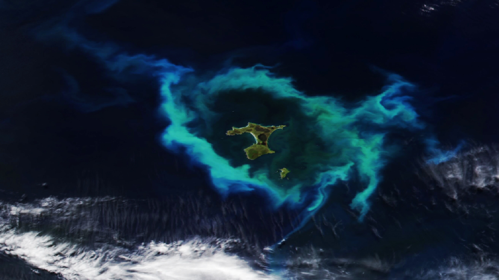 Une photo satellite montrant un groupe d’îles dans l’océan Pacifique entourées d’un anneau vert brillant d’algues.