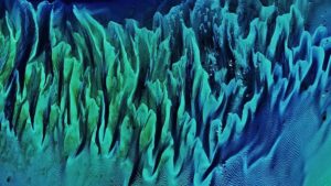 Des ondulations colorées « ressemblant à une peinture » recouvrent une ancienne structure du fond marin des Bahamas — La Terre vue de l'espace