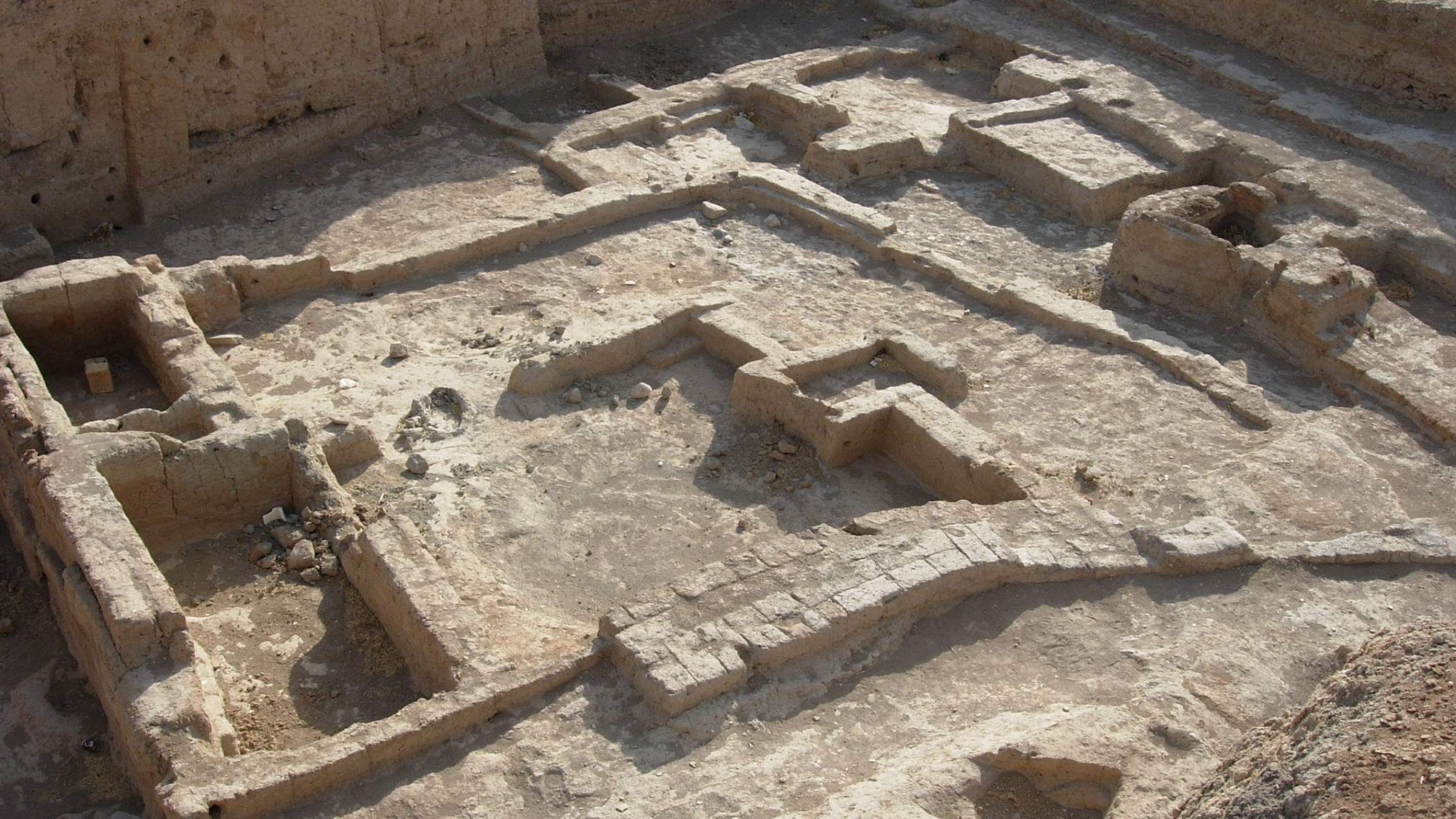 Des côtes cassées vieilles de 6 000 ans découvertes en Syrie pourraient être l'un des cas de maltraitance d'enfants les plus anciens connus au monde