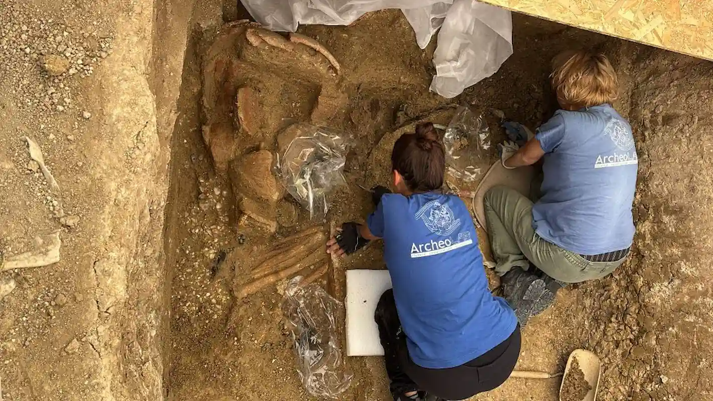 two people in blue t-shirts excavate a wooden chariot in Italy