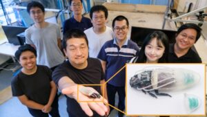 Des scientifiques fabriquent de minuscules « scaphandres » pour les cafards, les transformant en cyborgs de recherche et de sauvetage