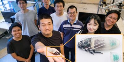 Des scientifiques fabriquent de minuscules « scaphandres » pour les cafards, les transformant en cyborgs de recherche et de sauvetage