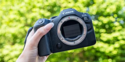 Test du Canon EOS R6 III : Une merveille de la faune