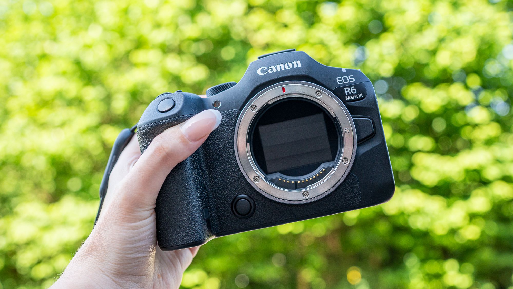 Test du Canon EOS R6 III : Une merveille de la faune