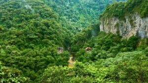 Les forêts tropicales cessent d’absorber le dioxyde de carbone pendant les événements El Niño. Cette année pourrait être la pire.