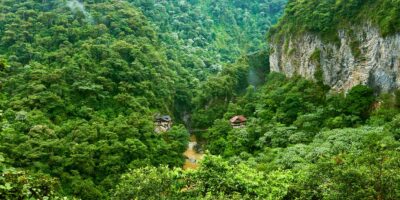 Les forêts tropicales cessent d’absorber le dioxyde de carbone pendant les événements El Niño. Cette année pourrait être la pire.