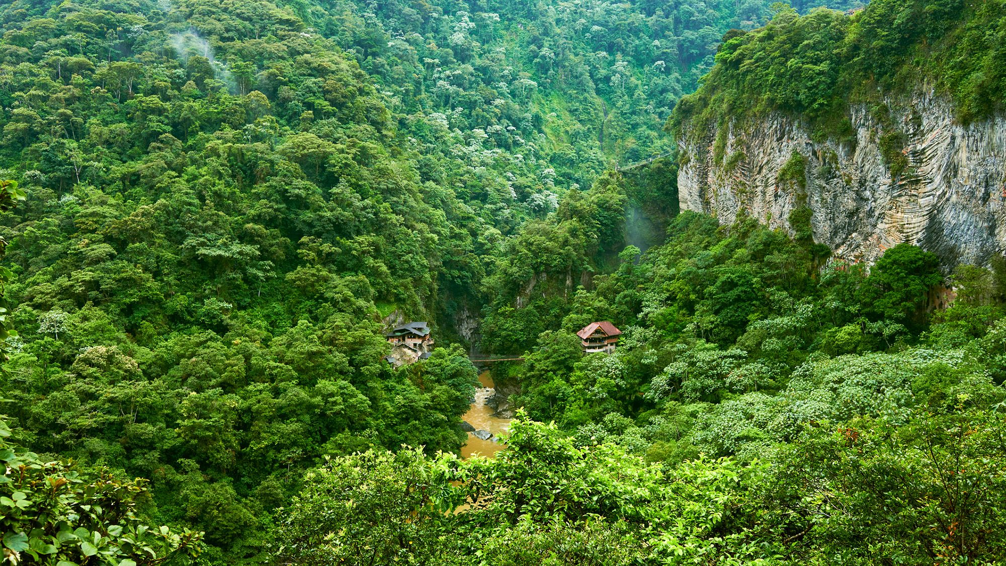 Les forêts tropicales cessent d’absorber le dioxyde de carbone pendant les événements El Niño. Cette année pourrait être la pire.