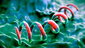 Dilemme diagnostique : Un homme de 83 ans s'est rendu à l'hôpital en raison de démangeaisons cutanées très prononcées. Il s’est avéré qu’il souffrait d’une forme rare de syphilis.