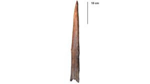 Quelle est l'arme la plus ancienne du monde ?
