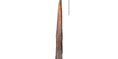 Quelle est l&rsquo;arme la plus ancienne du monde ?