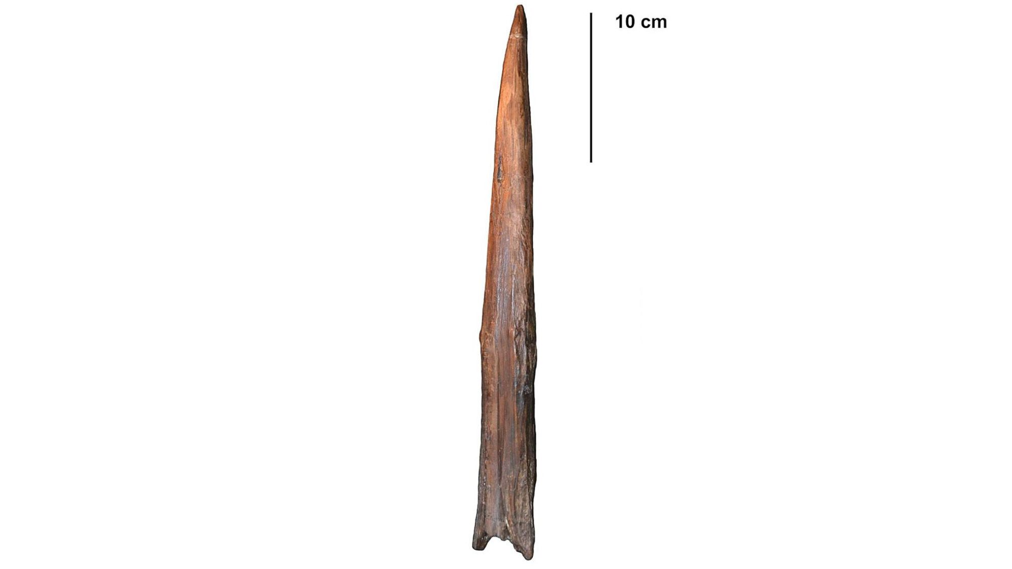Quelle est l'arme la plus ancienne du monde ?
