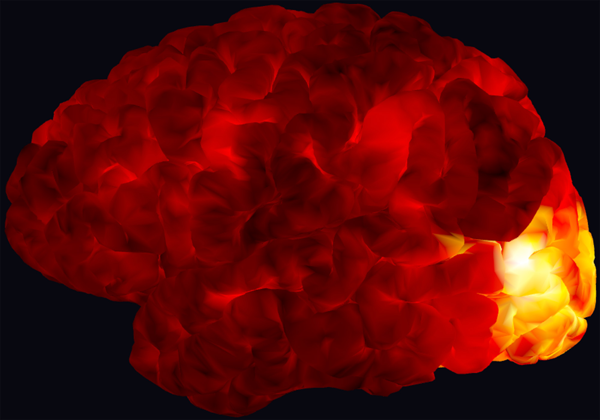 Un cerveau rouge et jaune peut