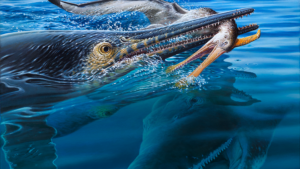 Un superbe fossile provenant de l'arrière-pays australien révèle qu'un pliosaure a tué un monstre marin qui venait de manger un ptérosaure