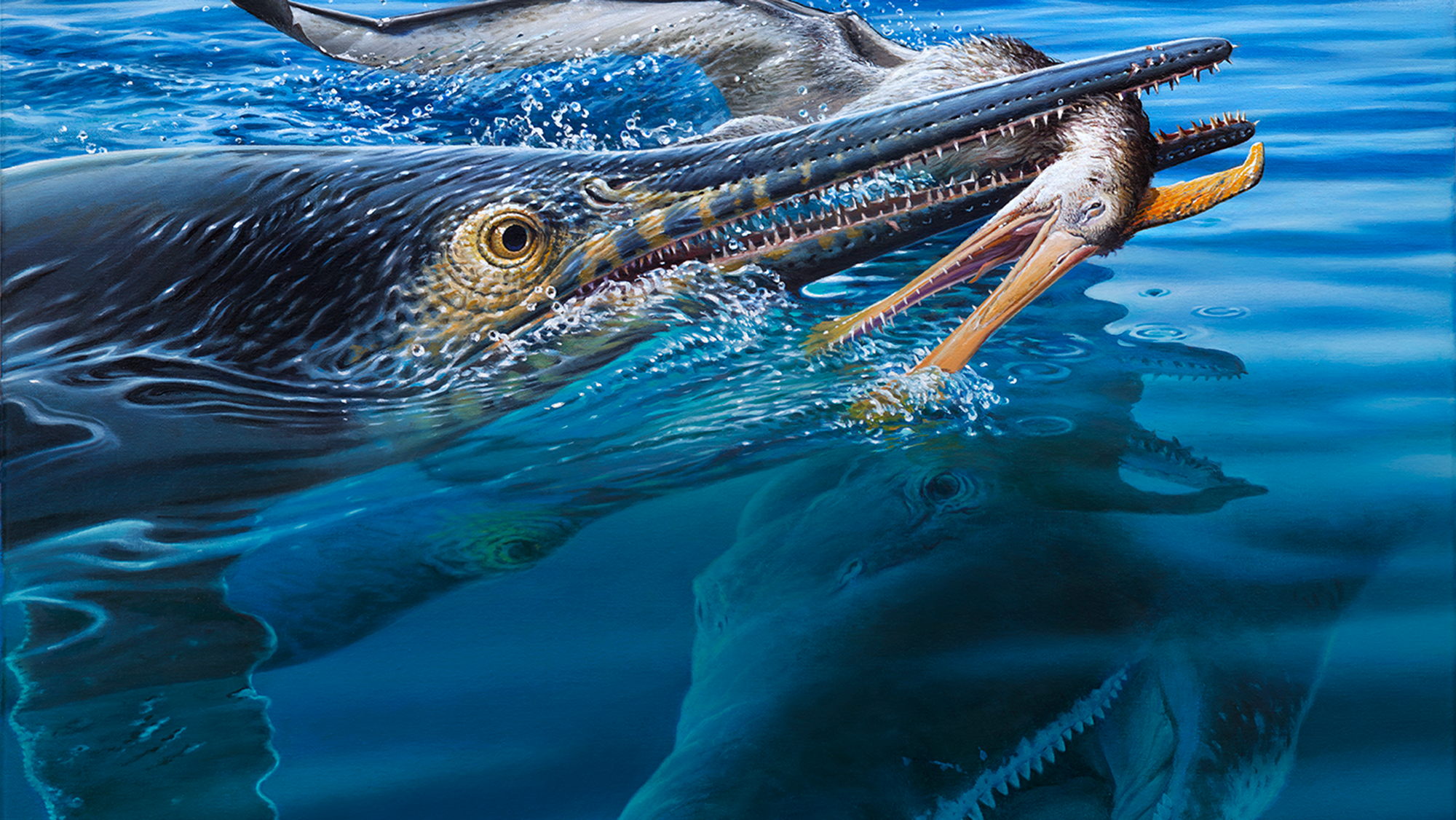 Un superbe fossile provenant de l'arrière-pays australien révèle qu'un pliosaure a tué un monstre marin qui venait de manger un ptérosaure
