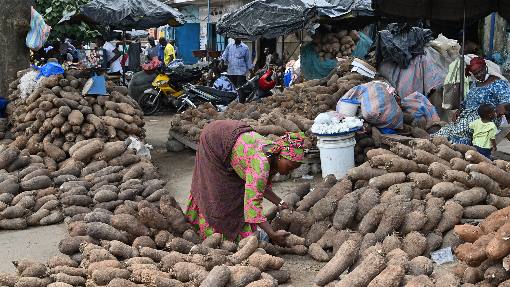 Une femme portant une jupe et un foulard se penche sur de gros tas de tubercules dans un marché en plein air