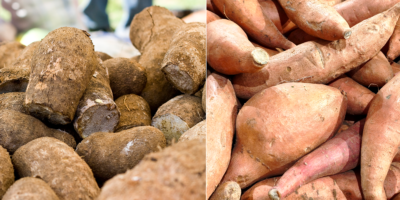 Quelle est la différence entre les patates douces et les ignames ?