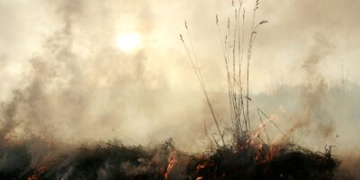 Selon un chercheur sur le changement climatique, Super El Niño pourrait pousser un écosystème climatique déjà stressé au-delà d&rsquo;un seuil critique.