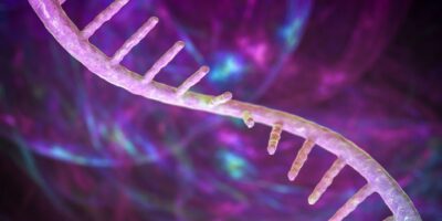 L&rsquo;approbation par la FDA d&rsquo;un nouveau vaccin à ARNm ne signifie pas nécessairement que le gouvernement adopte cette technologie, selon les experts.