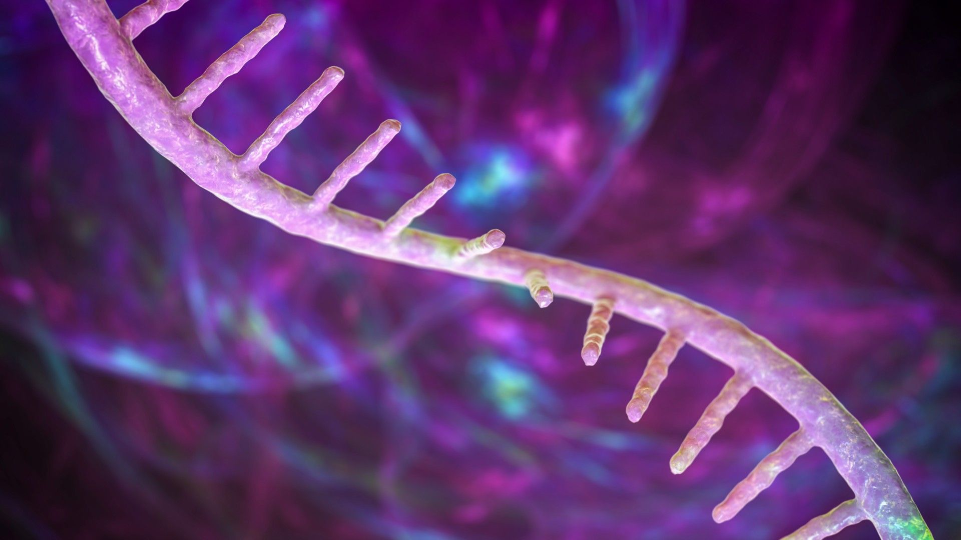 Medical illustration of a single strand of messenger RNA in pink