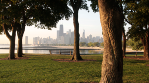 Selon une étude menée dans les quartiers de Chicago, sauver de vieux arbres pourrait protéger davantage la santé des gens que d'en planter de nouveaux.