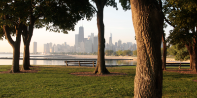 Selon une étude menée dans les quartiers de Chicago, sauver de vieux arbres pourrait protéger davantage la santé des gens que d&rsquo;en planter de nouveaux.