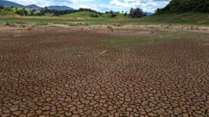 « Si telle est la nouvelle normalité, alors nous sommes dans une situation très grave » : l'assèchement des aquifères du Brésil pourrait avoir des répercussions à travers le monde