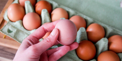 Maladies d’origine alimentaire : les États-Unis sont-ils vraiment plus durement touchés cette année ?