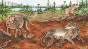 Les ancêtres des mammifères pourraient avoir donné naissance à des êtres vivants 90 millions d'années plus tôt que prévu, réécrivant ainsi les chronologies de l'évolution