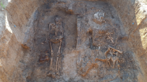 an aerial shot of an excavated grave with a human skeleton and a horse skeleton