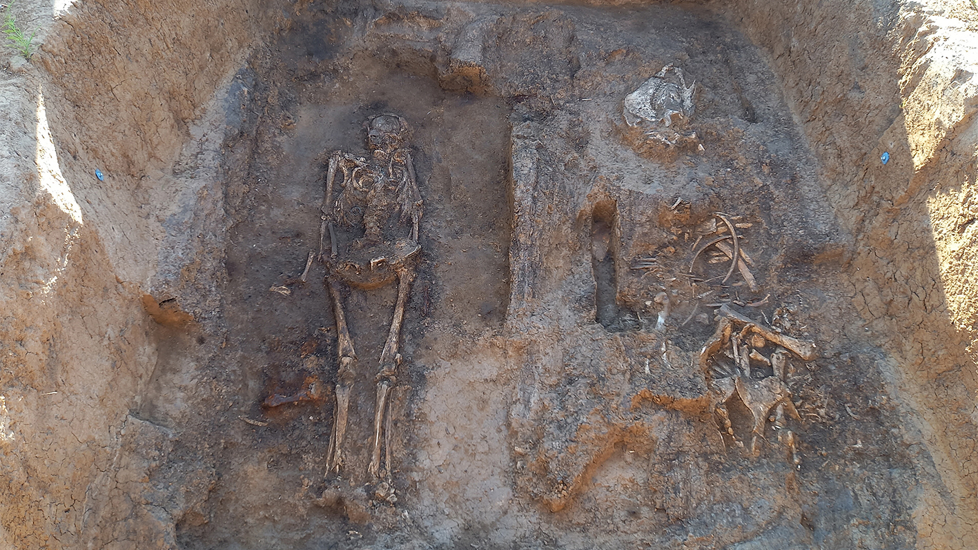 an aerial shot of an excavated grave with a human skeleton and a horse skeleton