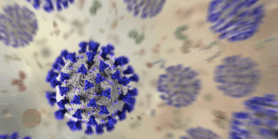 Une forme grave du COVID-19 pourrait réveiller des virus dormants et entraîner un handicap physique durable, selon une étude