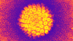 A heat map of a spiky cancer cell against a purple background