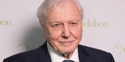 Diffusez toute la collection BBC iPlayer Attenborough n&rsquo;importe où avec cette offre VPN de premier ordre