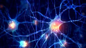 Des scientifiques inventent un gel qui crée des neurones à partir d'autres cellules, ce qui pourrait aider à traiter la maladie d'Alzheimer