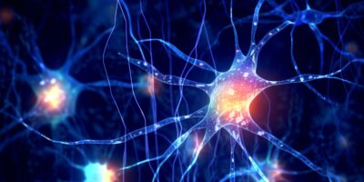 Des scientifiques inventent un gel qui crée des neurones à partir d&rsquo;autres cellules, ce qui pourrait aider à traiter la maladie d&rsquo;Alzheimer